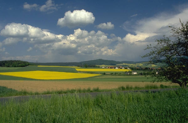 j0182201.jpg